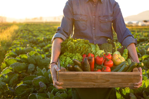 Organic Fields